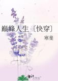 巅峰人生〔快穿〕