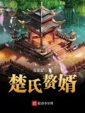 楚氏赘婿
