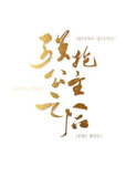 强抢公主之后[西幻]